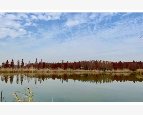水疗机泡澡：寒冬时节舒缓身心的温暖疗法