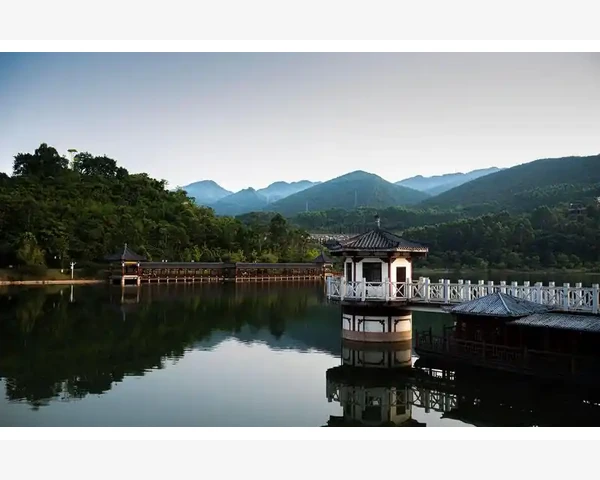 失眠、疲劳、头晕目眩......揭秘肾亏的调理之道，告别倦怠身心！