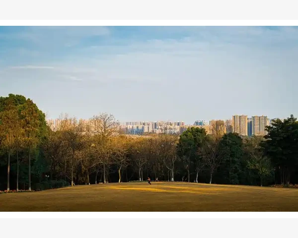 抽烟人最佳清肺水果：中医科普揭秘